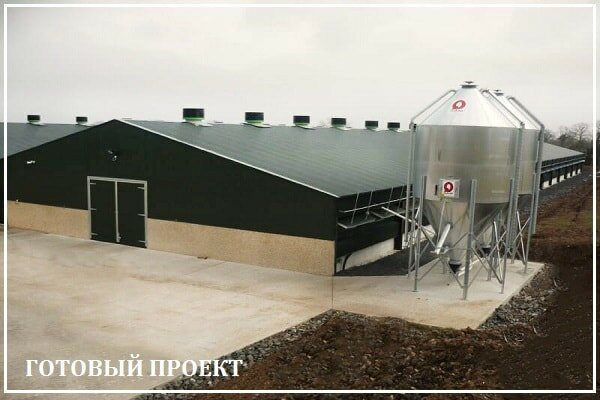 Этапы возведения птицефабрики от завода ВелесТент-днк